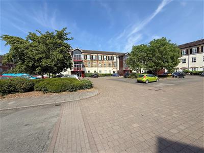 Picture 22